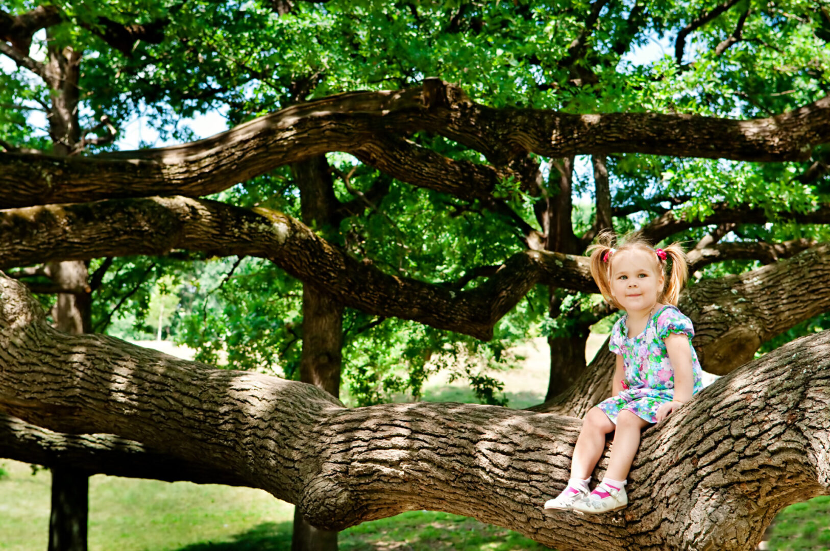 Cute toddler girl sitting on branch huge tree and smiling